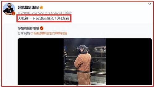 最新狗仔爆料视频播放下载,最新爆料视频播放下载,揭秘明星幕后故事